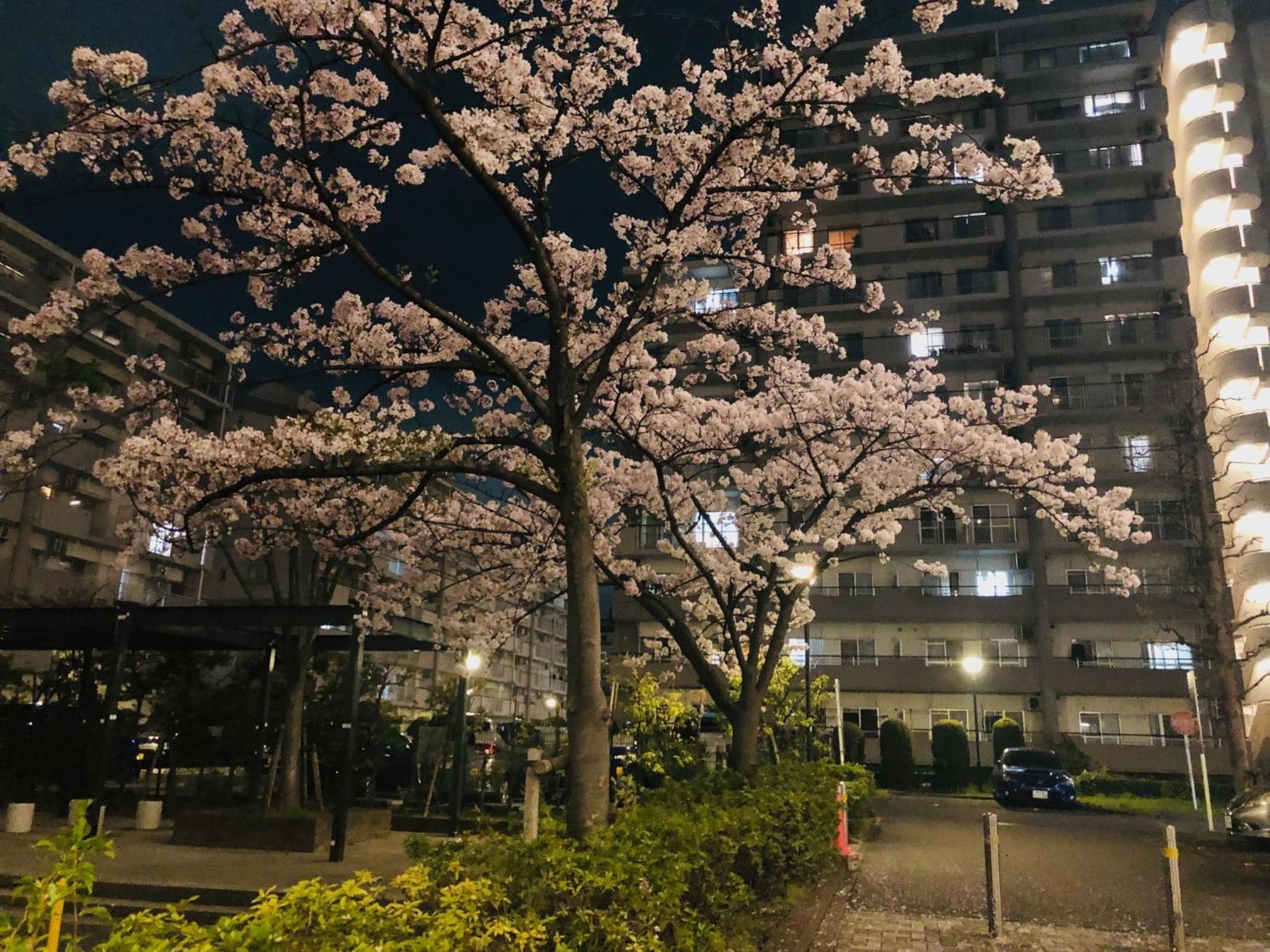 Jl 東京 House - 駐車場付き築浅のまるごと貸切住宅 Präfektur Tokio Exterior foto