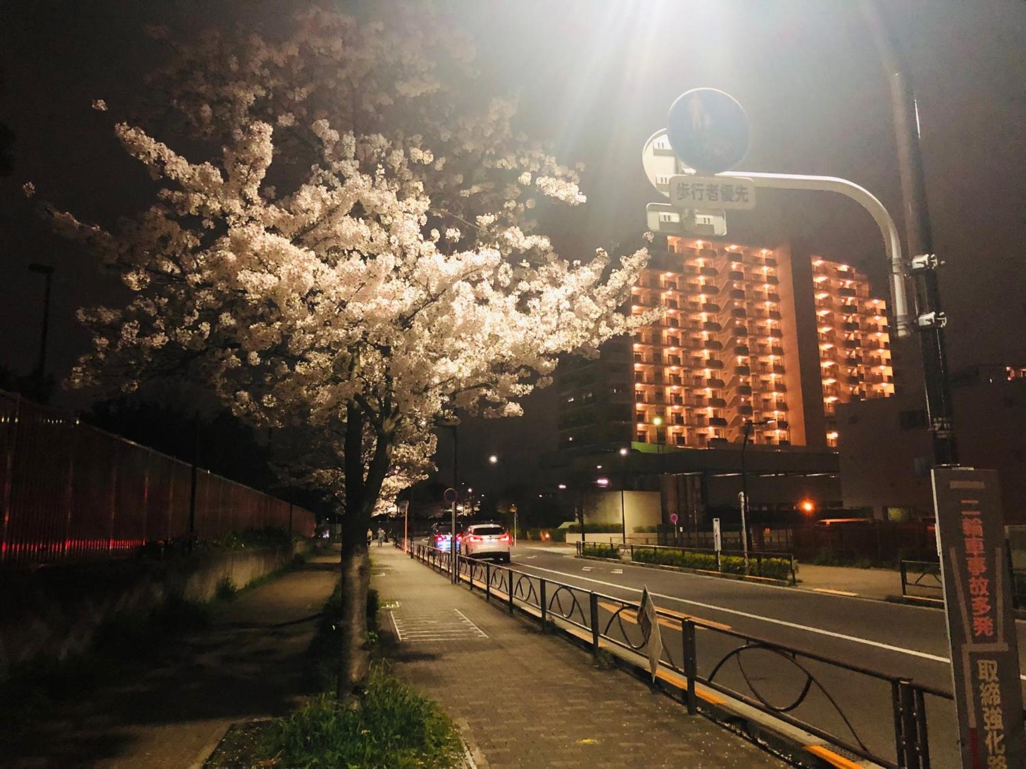 Jl 東京 House - 駐車場付き築浅のまるごと貸切住宅 Präfektur Tokio Exterior foto